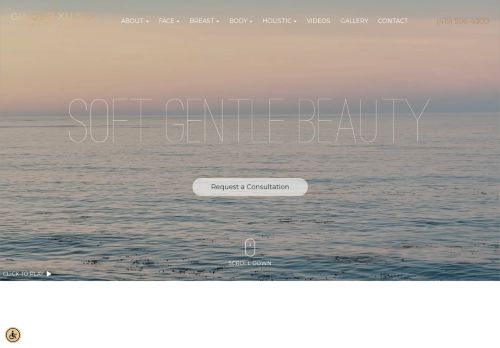 Ethos Plastic Surgery: Ginger Xu, M.D. — website preview